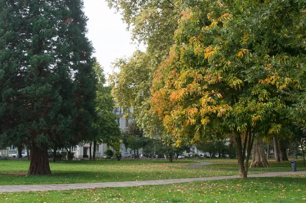 Sonbahar ağaçlar ile Steinbach park