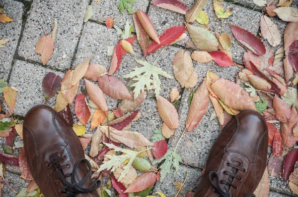 Herrenschuhe auf herbstlichen Blättern von oben — Stockfoto