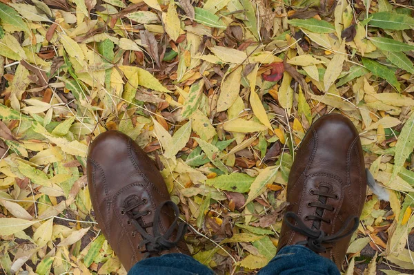 Uomo scarpe su foglie autunnali vista dall'alto — Foto Stock