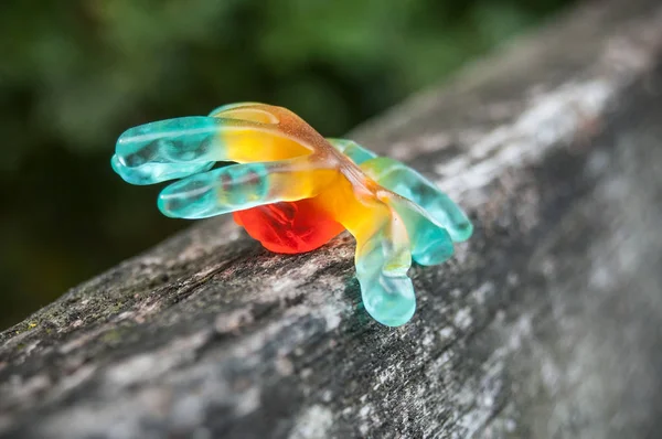 Cukierki galaretki w kształcie pająka na Halloween — Zdjęcie stockowe