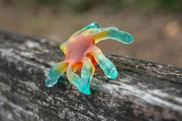 Gelee-Bonbons in Form einer Spinne für Halloween — Stockfoto