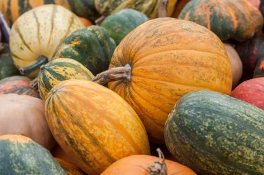  Cadılar Bayramı için çeşitli kabaklar