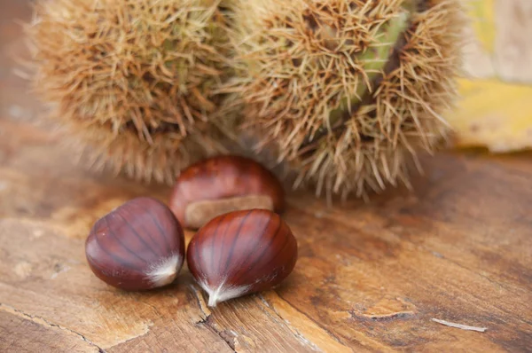 Kastanjes op houten bankje achtergrond — Stockfoto