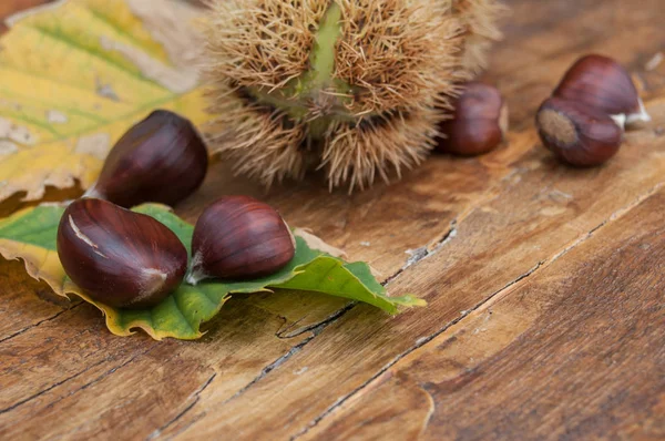 Kastanjes op houten bankje achtergrond — Stockfoto