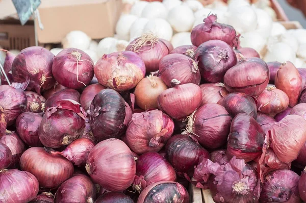 Cebollas rojas en el mercado — Foto de Stock