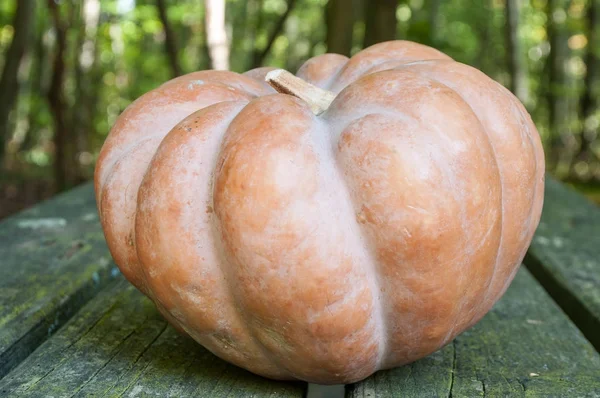 Pumpkin on wooden table — Stock Photo, Image