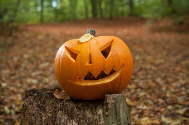 Cadılar Bayramı Balkabağı sonbahar ormanda 