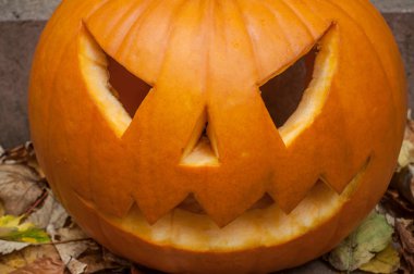 Cadılar Bayramı Balkabağı sonbahar ormanda 