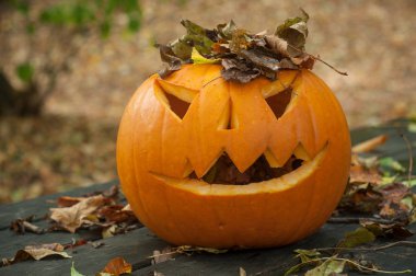  Cadılar Bayramı Balkabağı sonbahar ormanda 