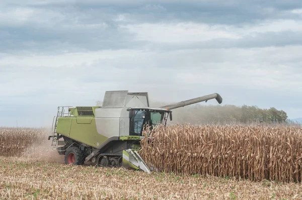 harvesting of maize grain on cloudy sky background