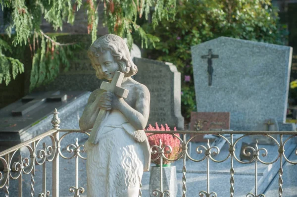 Побиваемый камнями ангел на кладбище — стоковое фото