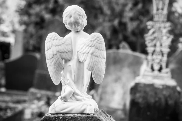 Omamný angel na hřbitově — Stock fotografie