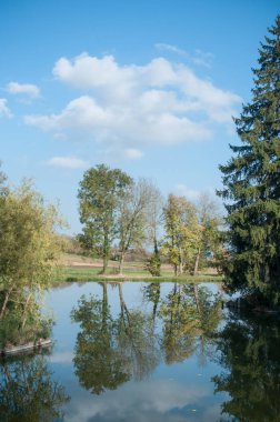 ağaçların yansıması ile güzel göl 