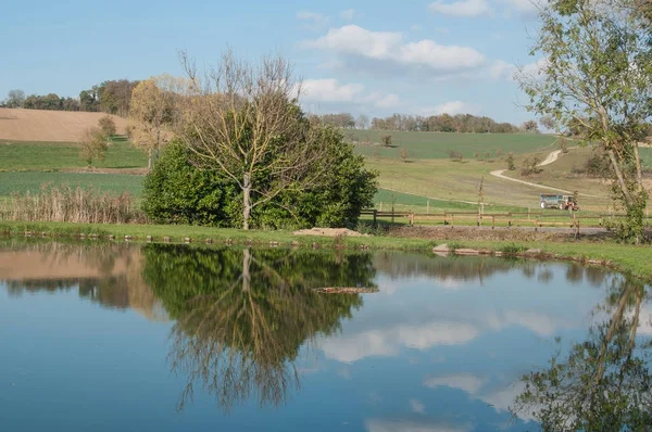 Hermoso lago con árboles en reflexión — Foto de Stock