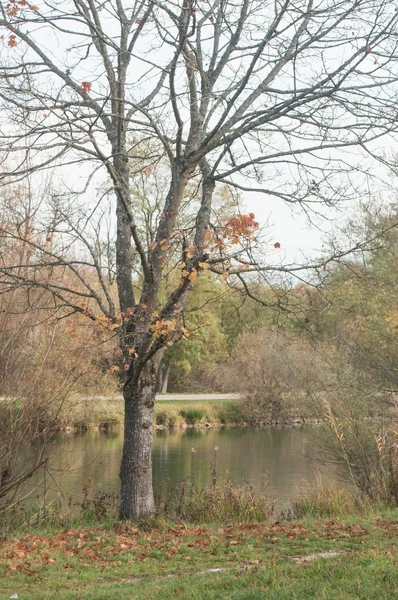 Bordo isolado no rio da fronteira com folhas outonais — Fotografia de Stock