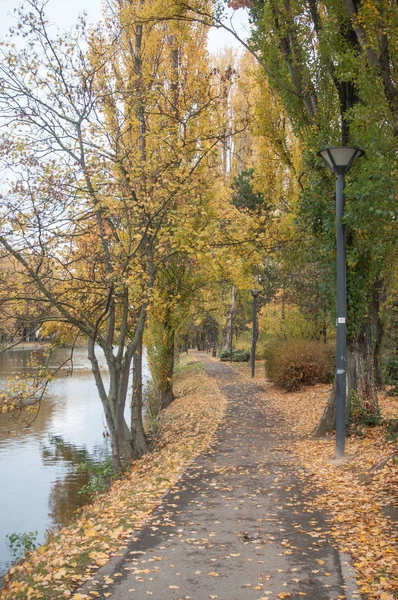 Public garden with way and bench by autumn — Stock Photo, Image