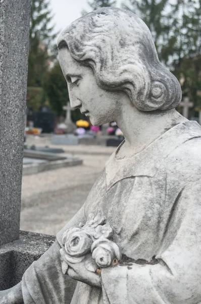 묘지에 돌 던진된 천사 — 스톡 사진