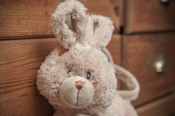 Oso de peluche sobre fondo de cajón de madera —  Fotos de Stock