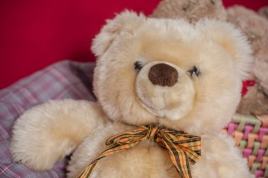  oyuncak ayı ahşap sepet içinde