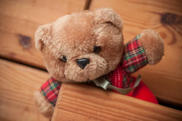 Oso de peluche sobre fondo de cajón de madera —  Fotos de Stock