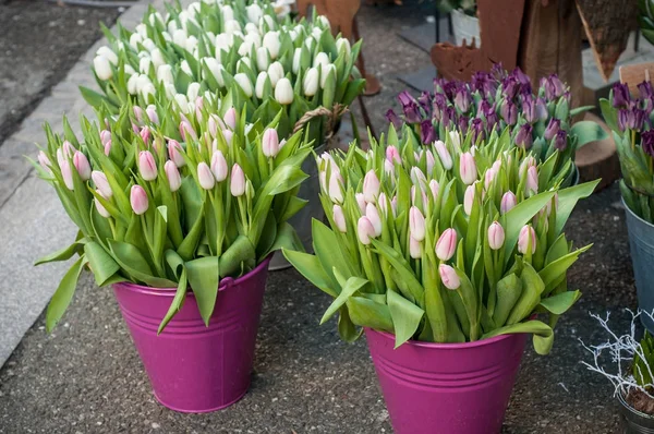 Buquês de tulipas rosa e branco na florista — Fotografia de Stock