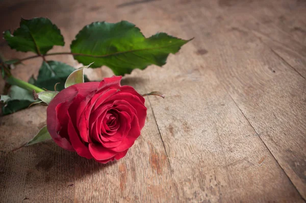  ahşap masa arka plan üzerinde kırmızı gül