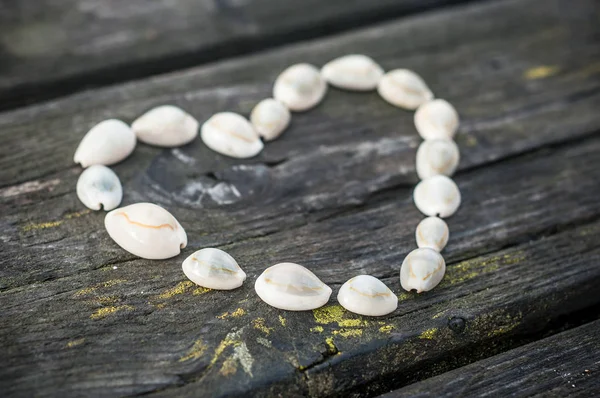 seashell in shape of heart on a wooden table