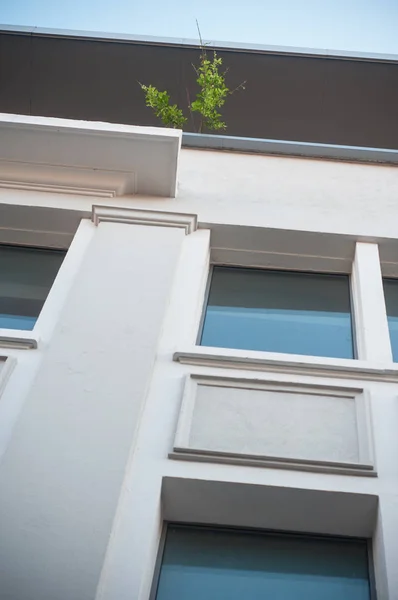 Malý strom na terase moderní budova fasády — Stock fotografie