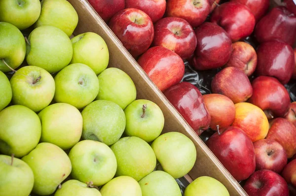 Red and green apples at the market — Stock Photo, Image