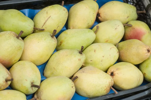 Yellow pears at the market — Stock Photo, Image