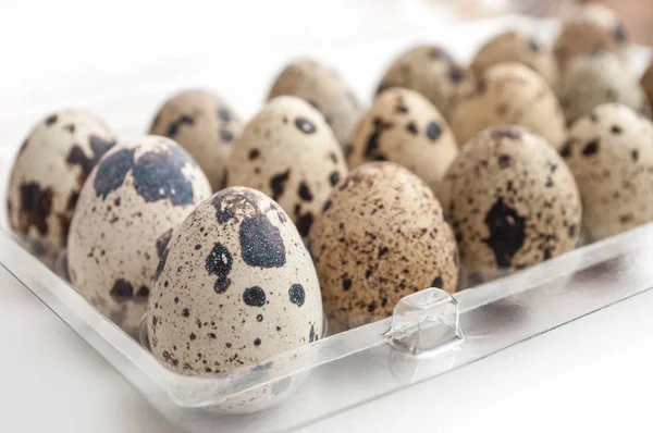 Kwartel eieren uitlijning in een plastic doos op witte achtergrond — Stockfoto
