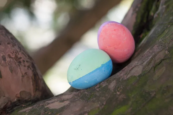 Ovos de Páscoa decorativos na árvore no jardim — Fotografia de Stock