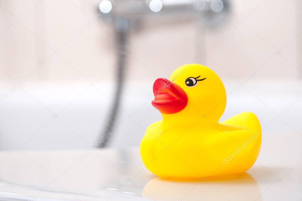  Yellow rubber duck toy on bath