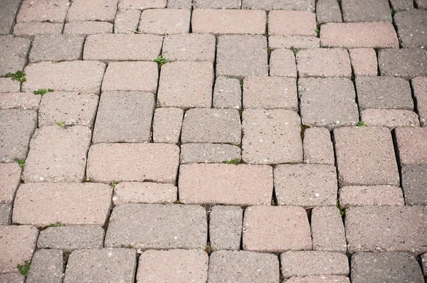 Cement pavement texture — Stock Photo, Image