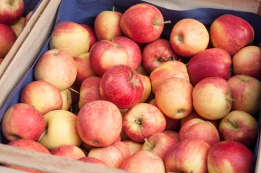  Markette taze kırmızı elmalar