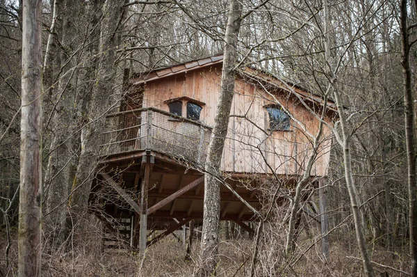 Cabaña de madera tradicional en los árboles en el bosque —  Fotos de Stock