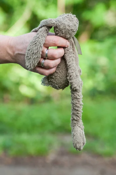 Pelúcia de coelho na mão perdida e encontrada no exterior — Fotografia de Stock
