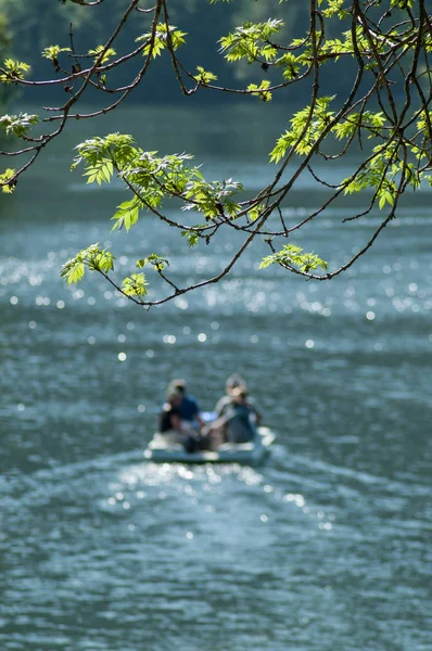 Pedalo ile Kruth gölünde yaprakları dal güneş ışığı — Stok fotoğraf