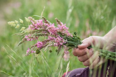 kır çiçekleri buketi bir çayır kadının elinde