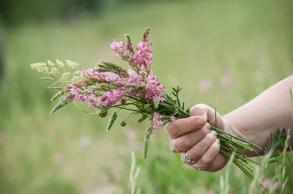 wild flowers bouquet in hand of woman in a meadow