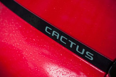 Citroen C4 kaktüs işareti caddede park etmiş kırmızı araba.