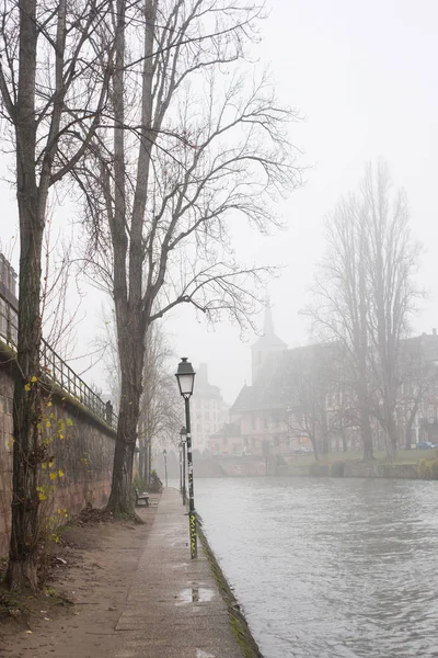 Vista sugli alberi e sul fiume a Strasburgo dal giorno nebbioso — Foto Stock