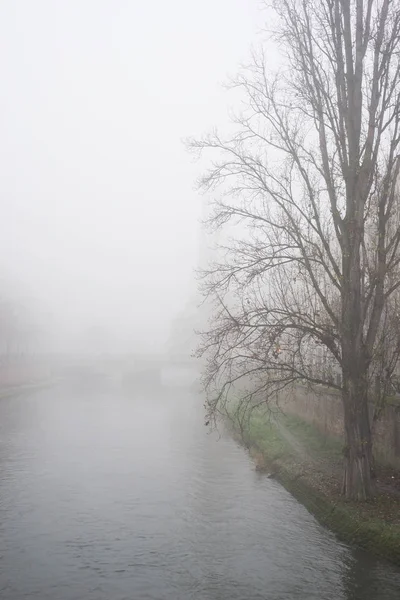 Vieuw de árvores e rio em Estrasburgo por dia nebuloso — Fotografia de Stock