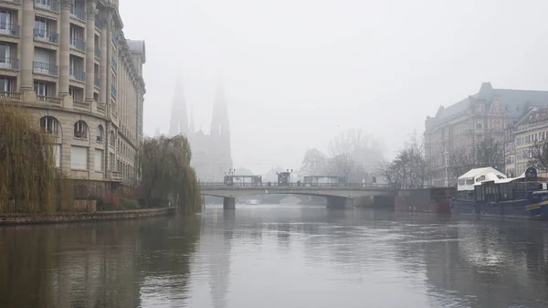 Drzewa i rzeka w Strasburgu z katedrą w tle przez mglisty dzień — Zdjęcie stockowe