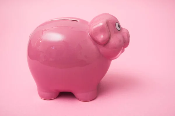 Profile view of pink piggy bank on pink background — Stock Photo, Image