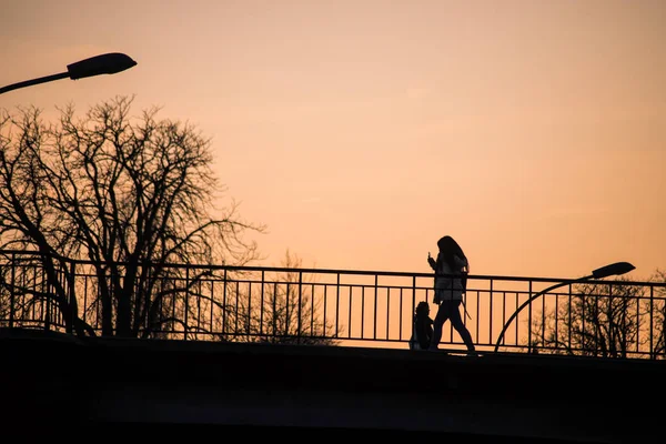 Silhouet van meisje lopen op de brug onder de rivier met smartphone in handen door zonsondergang — Stockfoto