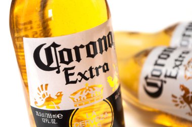 Beyaz arka planda Corona bira şişeleri, meşhur Meksika birası.