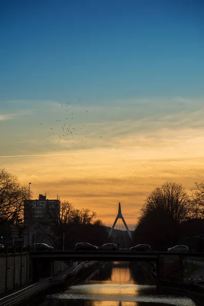 Panorama met silhouet van hangbrug onder het kanaal met reflectie en vogels vliegen in de lucht bij zonsondergang — Stockfoto