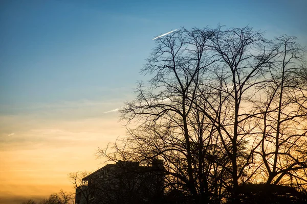 Güzel bulutlu gökyüzünde ağaç siluetleri ve binaların manzarası — Stok fotoğraf