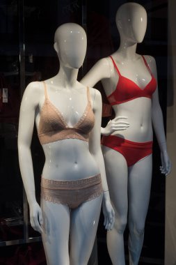 Moda mağazasında manken üzerinde kahverengi ve kırmızı iç çamaşırlarına yakın çekim